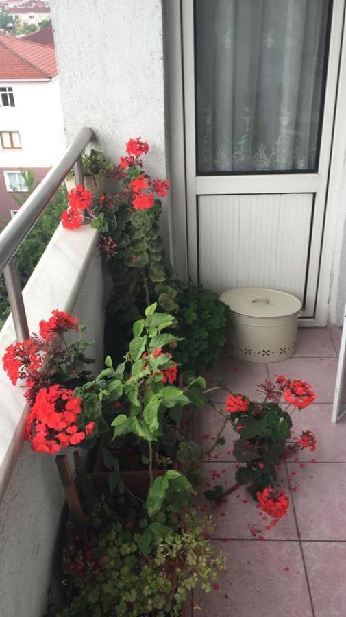 Single Room, Одноместная Комната В Доме, Chambre D'Une Personne, Habitacion Individual Istanbulská provincie Exteriér fotografie