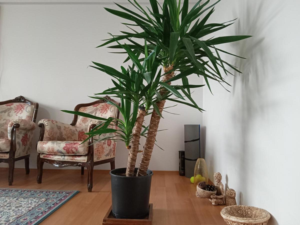 Single Room, Одноместная Комната В Доме, Chambre D'Une Personne, Habitacion Individual Istanbulská provincie Exteriér fotografie
