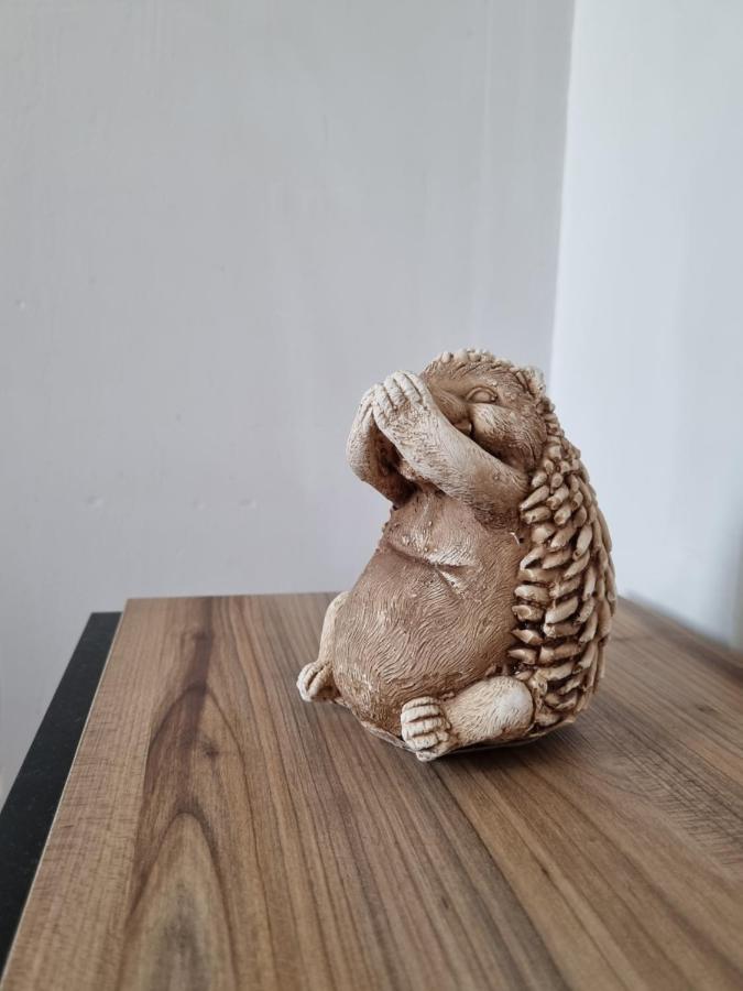 Single Room, Одноместная Комната В Доме, Chambre D'Une Personne, Habitacion Individual Istanbulská provincie Exteriér fotografie